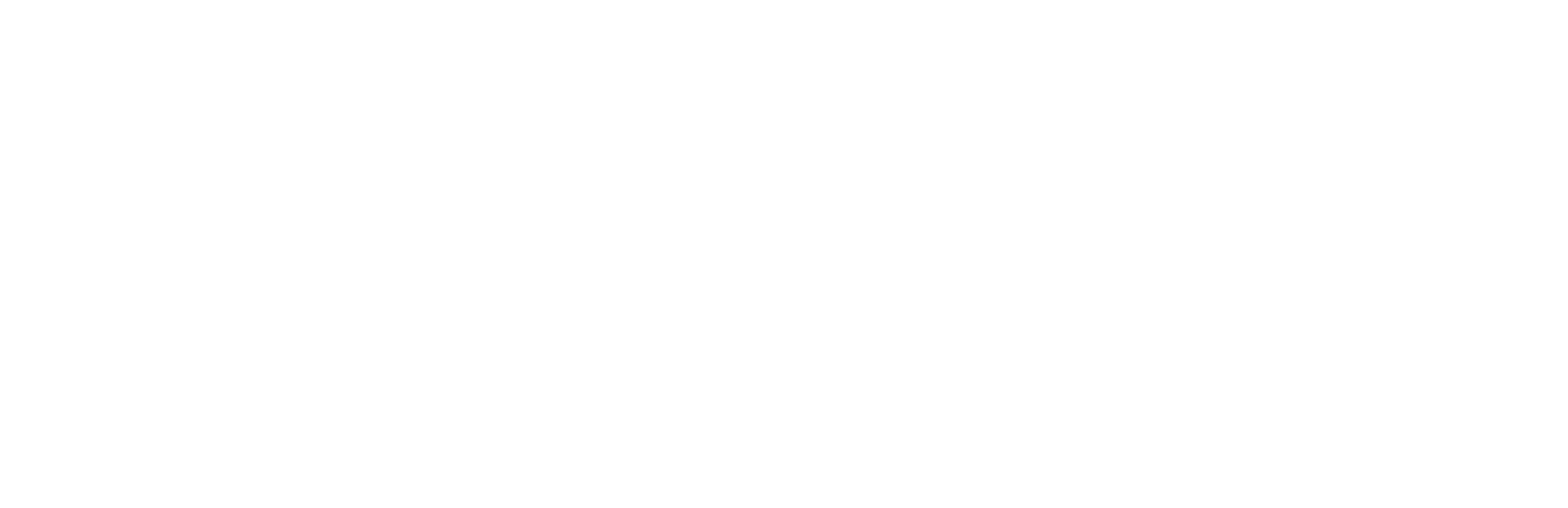 Hôtel-Dieu des Hospices de Beaune