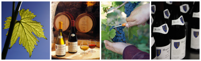Vente de vins du domaine des Hospices de Beaune